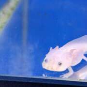 ヒメ日記 2025/03/16 11:26 投稿 ゆうこ モアグループ神栖人妻花壇