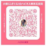 ヒメ日記 2025/02/16 11:07 投稿 小桜 ハピネス東京