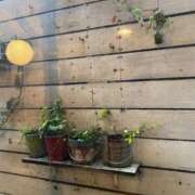 ヒメ日記 2025/02/01 14:17 投稿 まりえ 花の都～人妻の都～ 延岡店