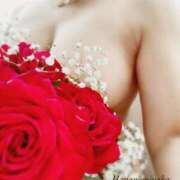 ヒメ日記 2025/04/15 23:07 投稿 まりえ 花の都～人妻の都～ 延岡店