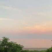 ヒメ日記 2025/06/28 12:27 投稿 まりえ 花の都～人妻の都～ 延岡店