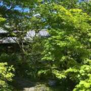 ヒメ日記 2025/08/15 23:07 投稿 まりえ 花の都～人妻の都～ 延岡店