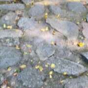 ヒメ日記 2025/10/12 23:27 投稿 まりえ 花の都～人妻の都～ 延岡店