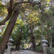 ヒメ日記 2026/02/08 23:18 投稿 まりえ 花の都～人妻の都～ 延岡店