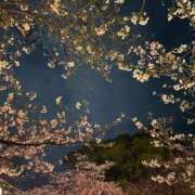 ヒメ日記 2026/04/08 23:08 投稿 まりえ 花の都～人妻の都～ 延岡店