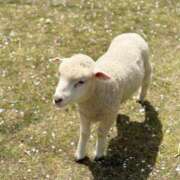 ヒメ日記 2025/05/22 20:40 投稿 フウカ OLの品格 クラブアッシュ