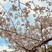 ヒメ日記 2025/04/05 11:26 投稿 『　 栞・しおり　 』♡S Fancy～ファンシー～