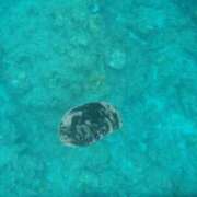 ヒメ日記 2025/08/22 10:46 投稿 『　 栞・しおり　 』♡S Fancy～ファンシー～