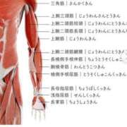 ヒメ日記 2024/04/05 11:10 投稿 このみ なでし娘