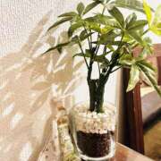 ヒメ日記 2025/11/02 14:16 投稿 『　朋佳・ともか　』♡E Fancy～ファンシー～