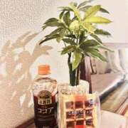 ヒメ日記 2026/01/29 14:09 投稿 『　朋佳・ともか　』♡E Fancy～ファンシー～