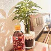 ヒメ日記 2026/02/08 18:46 投稿 『　朋佳・ともか　』♡E Fancy～ファンシー～