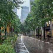 ヒメ日記 2025/04/14 14:36 投稿 『　桃香・ももか　』♡E Fancy～ファンシー～