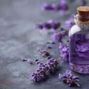 ヒメ日記 2025/08/24 09:30 投稿 『　桃香・ももか　』♡E Fancy～ファンシー～