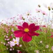 ヒメ日記 2025/10/21 05:36 投稿 『　桃香・ももか　』♡E Fancy～ファンシー～