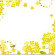 ヒメ日記 2026/03/08 20:26 投稿 『　桃香・ももか　』♡E Fancy～ファンシー～