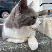 ヒメ日記 2026/03/22 14:16 投稿 『　桃香・ももか　』♡E Fancy～ファンシー～