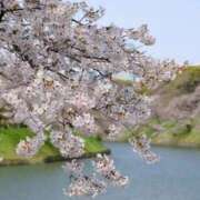 ヒメ日記 2026/03/27 14:16 投稿 『　桃香・ももか　』♡E Fancy～ファンシー～