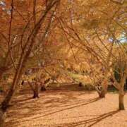 ヒメ日記 2025/11/22 18:56 投稿 『　清美・きよみ　』♡A Fancy～ファンシー～