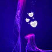 ヒメ日記 2025/02/26 02:16 投稿 アミ エピソード(品川)