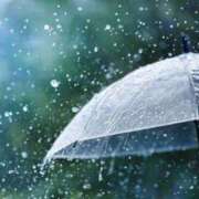 ヒメ日記 2025/03/15 08:26 投稿 土田友美 五十路マダム　和歌山店