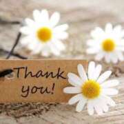 ヒメ日記 2025/03/29 12:18 投稿 土田友美 五十路マダム　和歌山店