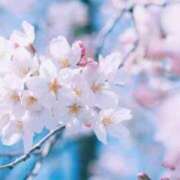 ヒメ日記 2025/04/05 22:56 投稿 土田友美 五十路マダム　和歌山店