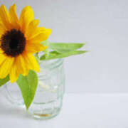 ヒメ日記 2025/06/13 21:44 投稿 土田友美 五十路マダム　和歌山店