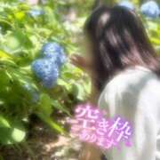 ヒメ日記 2026/06/13 11:32 投稿 土田友美 五十路マダム　和歌山店