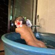 ヒメ日記 2025/11/24 13:45 投稿 NENE さくらん東京