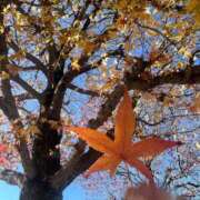 ヒメ日記 2025/11/28 09:19 投稿 さき 渋谷平成女学園