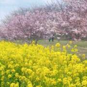 ヒメ日記 2026/03/26 09:39 投稿 さき 渋谷平成女学園