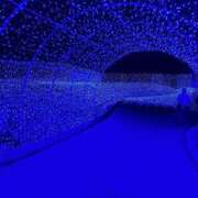 みな 沖縄はもう暑いのかな？ アネックスジャパン