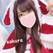 ヒメ日記 2024/12/14 11:26 投稿 さくら 紳士の嗜み 大宮