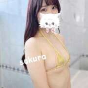 ヒメ日記 2024/12/14 16:46 投稿 さくら 紳士の嗜み 大宮