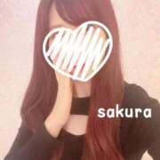 ヒメ日記 2024/12/14 22:15 投稿 さくら 紳士の嗜み 大宮