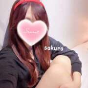 ヒメ日記 2024/12/16 23:15 投稿 さくら 紳士の嗜み 大宮