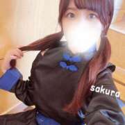 ヒメ日記 2024/12/17 07:15 投稿 さくら 紳士の嗜み 大宮