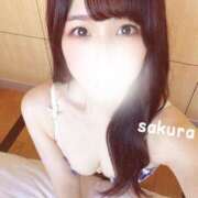 ヒメ日記 2024/12/26 08:16 投稿 さくら 紳士の嗜み 大宮