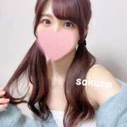 ヒメ日記 2024/12/28 09:16 投稿 さくら 紳士の嗜み 大宮