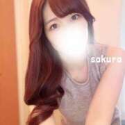 ヒメ日記 2025/03/07 08:15 投稿 さくら 紳士の嗜み 大宮