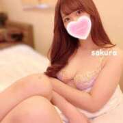 ヒメ日記 2025/03/09 08:28 投稿 さくら 紳士の嗜み 大宮