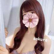 ヒメ日記 2025/03/23 16:15 投稿 さくら 紳士の嗜み 大宮