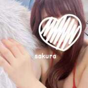 ヒメ日記 2025/04/01 20:16 投稿 さくら 紳士の嗜み 大宮