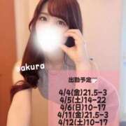 ヒメ日記 2025/04/02 19:15 投稿 さくら 紳士の嗜み 大宮