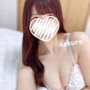 ヒメ日記 2025/04/10 12:16 投稿 さくら 紳士の嗜み 大宮