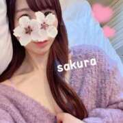 ヒメ日記 2025/04/10 20:16 投稿 さくら 紳士の嗜み 大宮