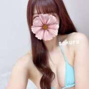 ヒメ日記 2025/04/14 12:16 投稿 さくら 紳士の嗜み 大宮