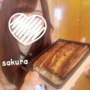 ヒメ日記 2025/04/27 17:45 投稿 さくら 紳士の嗜み 大宮