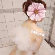 ヒメ日記 2025/06/09 20:15 投稿 さくら 紳士の嗜み 大宮